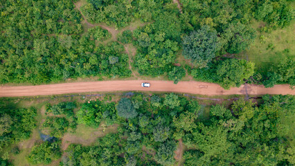 Aerial view of a car in jungle, Off-roading road trip through the forest