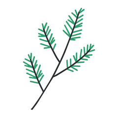 Hand drawn line coniferous tree branches and pine cones