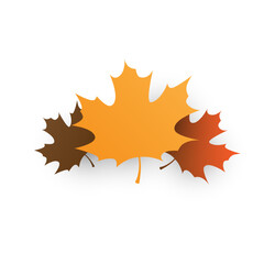 Brown and Golden Autumn Fallen Maple Tree Leaves on White Background - Design Template in Editable Vector Format