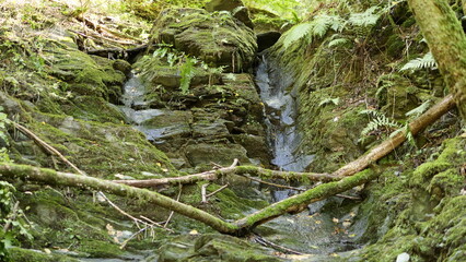 Bachlauf im Schiefergestein