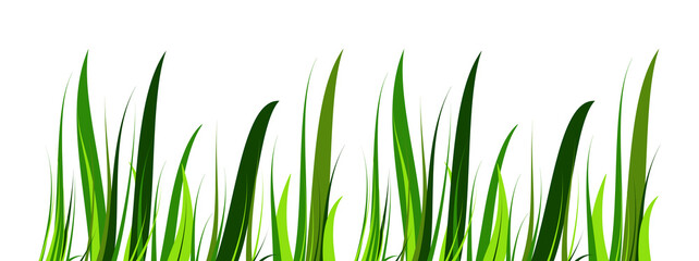 Grünes Gras abstrakte Linien Hintergrund transparent PNG
