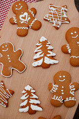 Gingerbread cookies in hands on the background of the New Year tree. Christmas home concept. 
