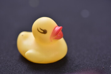 rubber duck