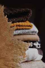 AUTUMN LEAVES AND WARM CLOTHES