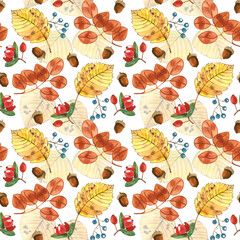 Seamless pattern of watercolor autumn leaves on a white background. The leaves of birch, chestnut, rosehip berries, acorns on a light background. Suitable for printing paper invitations