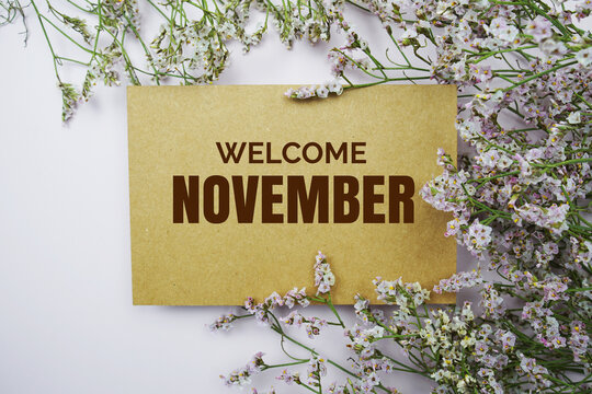 Welcome November written on paper card with flower frame decoraton on pink background