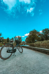 Fototapeta premium bicycle in the park