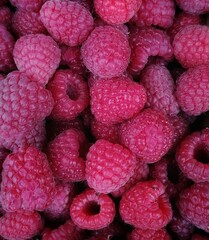 close up of raspberries