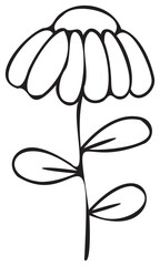 Line art flower illustration. PNG with transparent background.