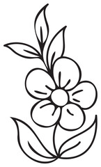 Line art flower illustration. PNG with transparent background.