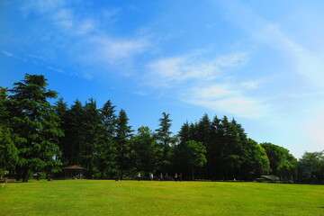 Fototapeta na wymiar みずほエコパークの芝生広場の風景1