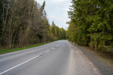 Fototapeta na wymiar Empty asphalt road in nice peaceful coniferous forest.