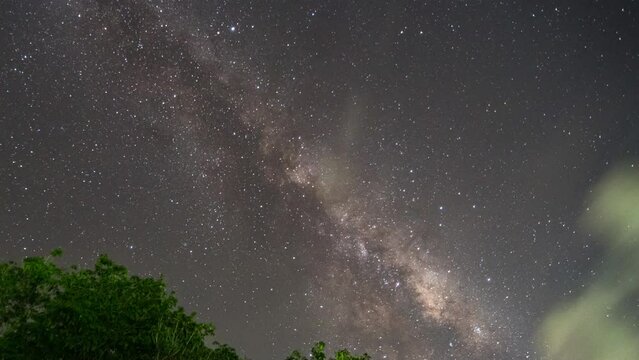 Time-lapse 4k footage of the stars behind a tree in the night sky. Milky Way galaxy