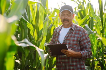 Farmer  standing in green field, holding corn leaf in hands and analyzing maize crop. Growth nature harvest. Agriculture farm.