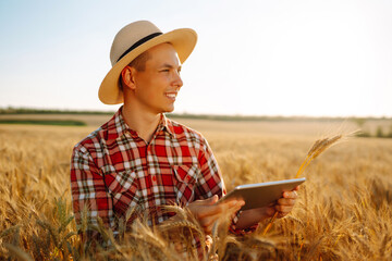 Naklejka na ściany i meble Farmer checking wheat field progress, holding tablet using internet. Smart farming and digital agriculture.