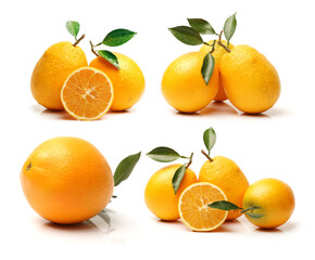 Orange fruit on the white background