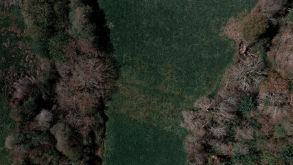 Naturaleza en estado puro. Un bonito fondo de pantalla.