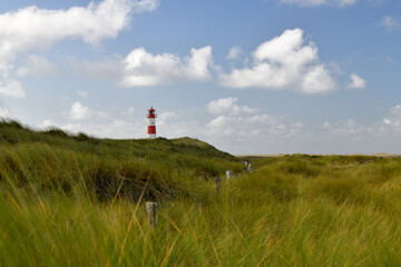 Fototapeta na wymiar Ein Rot-Weißer Leuchtturm im hohen Gras einer Küstenlandschaft und leichter Bewölkung.