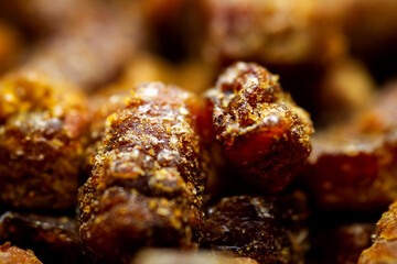 Extreme close up of bee bread