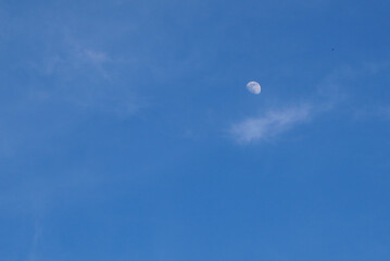 Fototapeta na wymiar First quarter crescent moon on blue clear sky with soft fine white clouds at daytime