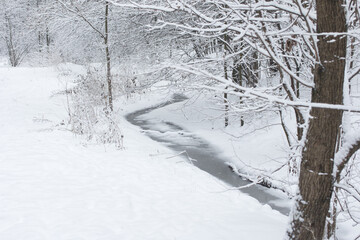 A frozen stream in a snow-white forest. Winter Park