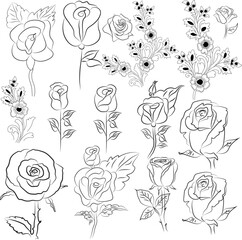 Set of Hand Drawn Line Flowers Free Vector