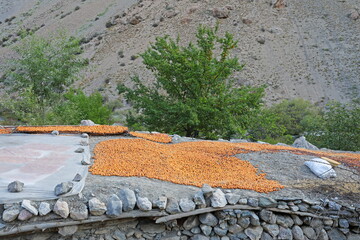 Drying apricots on the roof of a house in Tajikistan mountains