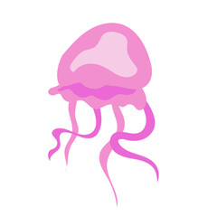 sea ​​water jellyfish