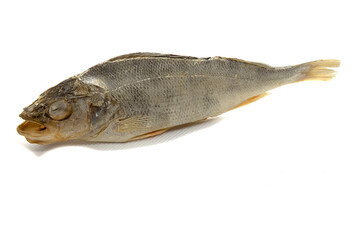 Dried perch fish on a white background