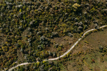 Aerial top view of the empty country road between green and yellow trees. Drone shot of a country road.