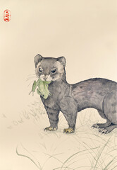 Japanese Zen art - Watercolor ferret illustration