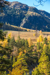 Autumn in Altay mountains