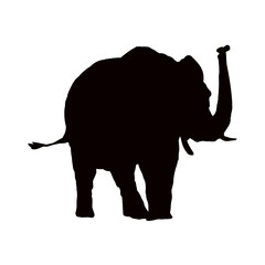sylwetka słonia z podniesioną trąbą, słoń - ilustracja wektorowa - obrazy, fototapety, plakaty