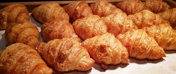 Fresh Baked Croissants. Warm Fresh Buttery Croissants and Rolls. French and American Croissants and Baked Pastries
