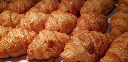Fresh Baked Croissants. Warm Fresh Buttery Croissants and Rolls. French and American Croissants and Baked Pastries