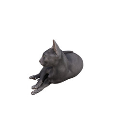 Sphynx cat isolated on transparent background. PNG File, 3D Rendering Illustration.