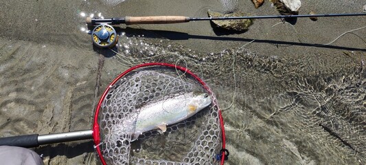 badminton racket and shuttlecock