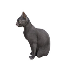 Sphynx cat isolated on transparent background. PNG File, 3D Rendering Illustration.