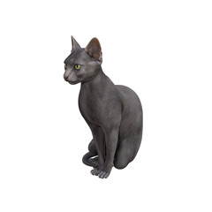Sphynx cat isolated on transparent background. PNG File, 3D Rendering Illustration.