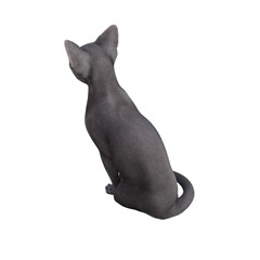 Sphynx cat isolated on transparent background. PNG File, 3D Rendering Illustration.