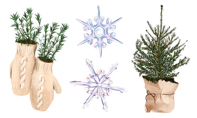 Watercolor Christmas set with a Christmas tree and snowflakes on a white background