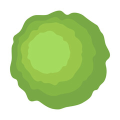 Top aerial view, green foliage, park, forest, garden plants isolated on white. Vector illustration for landscape, nature. Tree crown