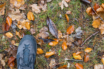 Top view of a footstep on a ground with fallen leafs