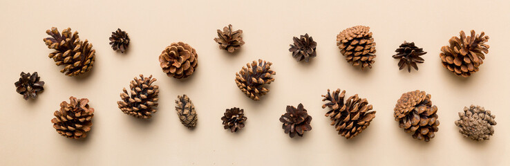 Christmas pine cones on colored paper border composition. Christmas, New Year, winter concept. Flat lay, top view, copy space