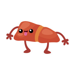 Funny human liver flat for web design. Cartoon cute stomach, lungs, spleen, bladder, kidney and brain isolated vector illustration. Anatomy and internal biology for design concept