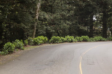 Districts of the city of Gramado