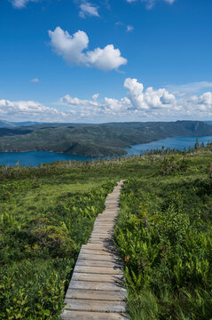 Canada, Newfoundland - Labrador, Gros Morne National Park, Boardwalk in landscape in Gros Morne National Park