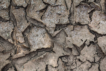Cracked Ground because of Drought. texture, background.