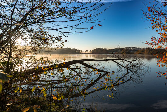 Early morning on the lake in french Dombes wetland region during autumn season.