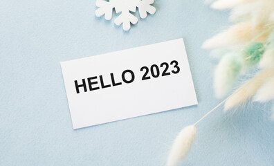 Hello 2023 text on a card on a holoub background next to decorative branches